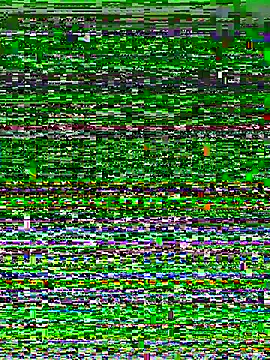 Snapshot of miemie-xx chatting on November 2025 12:38:01 PM miemie-xx online show from November 2025 12:38:01 PM