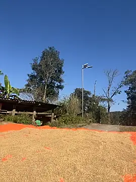 Snapshot of miemie-xx chatting on November 2025 03:18:02 AM miemie-xx online show from November 2025 03:18:02 AM