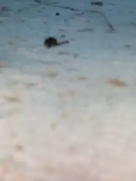 Snapshot of Ut_kanchna chatting on October 2025 12:22:02 PM Ut kanchna online show from October 2025 12:22:02 PM