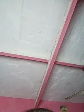 Snapshot of Ut_kanchna chatting on November 2025 02:35:01 PM Ut kanchna online show from November 2025 02:35:01 PM