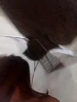 Rabbit-small online show from December 2025 09:33:01 PM