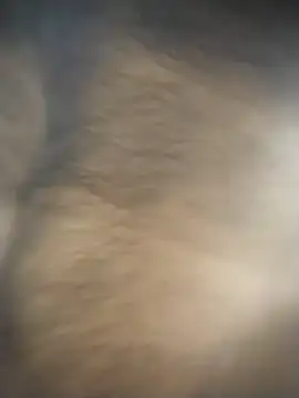 Snapshot of SL_BEAR chatting on December 2025 01:48:02 AM SL BEAR online show from December 2025 01:48:02 AM