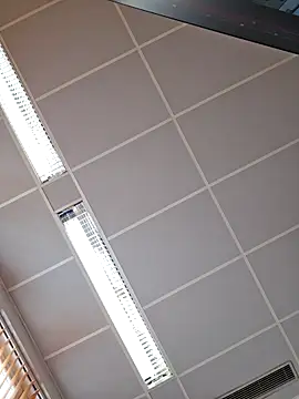 toyboyfin online show from October 2025 11:09:01 AM