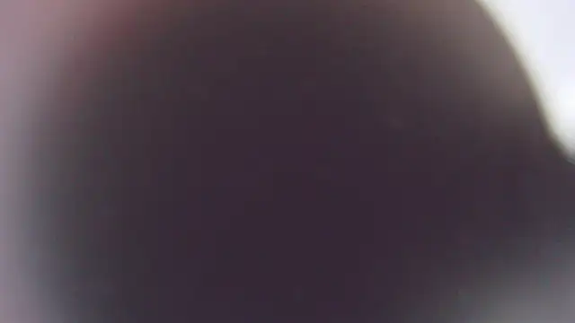 Snapshot of Stefano_Calle chatting on December 2025 11:41:02 AM Stefano Calle online show from December 2025 11:41:02 AM