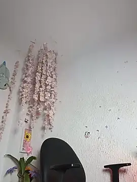 Emilycollei online show from June 2026 05:19:02 AM