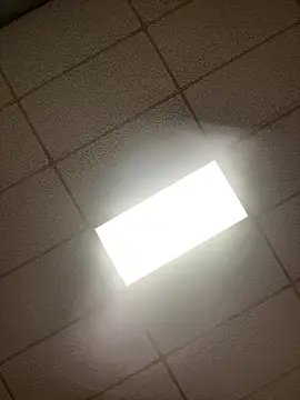 lexuslover687 online show from April 2026 07:11:01 AM