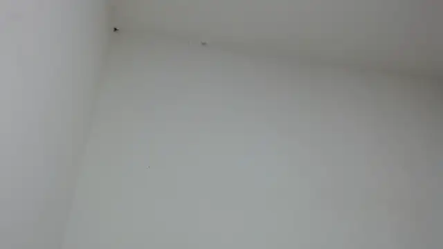 Snapshot of drako_monster chatting on January 2026 09:46:01 PM drako monster online show from January 2026 09:46:01 PM