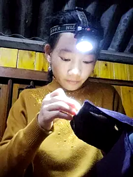 Snapshot of gio-thu chatting on November 2025 04:29:01 PM gio-thu online show from November 2025 04:29:01 PM