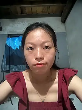 Zerin nova online show from October 2025 02:33:01 AM