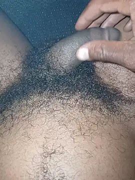 jhbswto online show from March 2026 09:19:02 PM