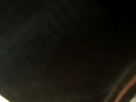 Wild-RosaBlue online show from October 2025 01:43:02 PM