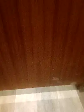 leeya14 online show from October 2025 04:12:01 AM