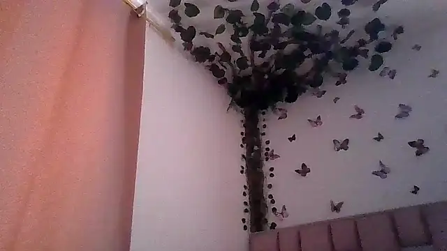 abby moss 2 online show from June 2026 12:53:02 PM