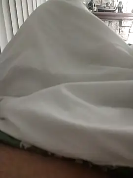 shyguy8569 online show from November 2025 11:05:01 PM