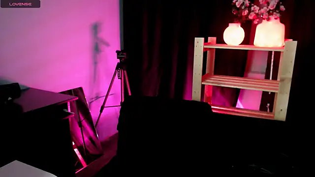 Snapshot of nikadinny chatting on December 2025 12:27:01 AM nikadinny online show from December 2025 12:27:01 AM