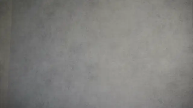 MonetLeitman online show from May 2026 01:55:01 AM