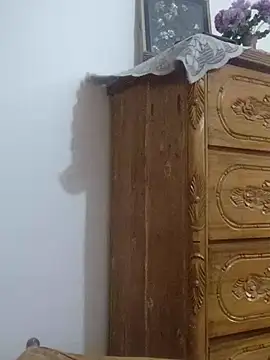 Snapshot of Tanha18 chatting on November 2025 08:58:02 AM Tanha18 online show from November 2025 08:58:02 AM