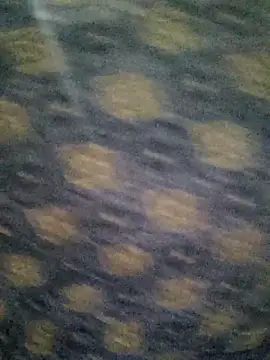 Snapshot of Tanha18 chatting on December 2025 06:59:02 PM Tanha18 online show from December 2025 06:59:02 PM