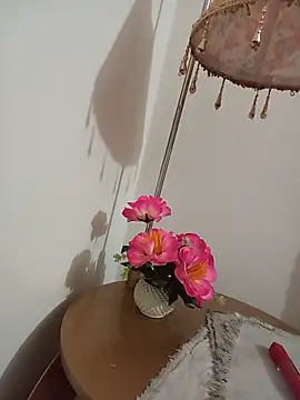 Tanha18 online show from July 2026 01:34:02 PM