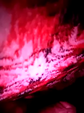 Snapshot of B4ldo25 chatting on November 2025 07:51:02 AM B4ldo25 online show from November 2025 07:51:02 AM