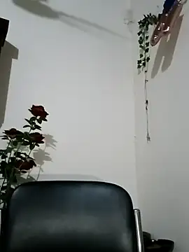 Snapshot of Jessica-03 chatting on November 2025 05:06:01 AM Jessica-03 online show from November 2025 05:06:01 AM