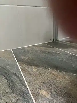 Dani anal ts online show from October 2025 08:54:02 PM