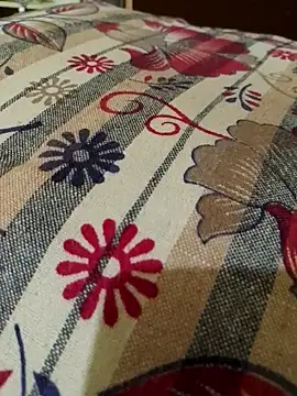 Snapshot of svk_05 chatting on October 2025 12:17:01 PM svk 05 online show from October 2025 12:17:01 PM