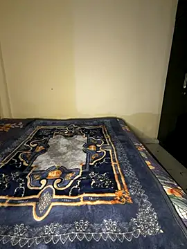 Snapshot of payal_mittal chatting on November 2025 09:07:01 PM payal mittal online show from November 2025 09:07:01 PM