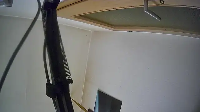 bull419M online show from October 2025 09:45:01 AM