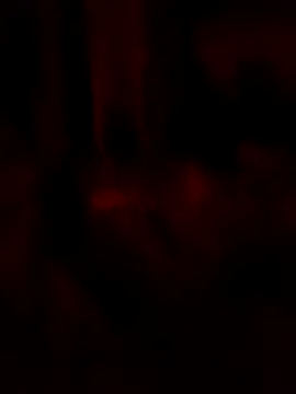 goloso80 online show from May 2026 02:51:02 AM