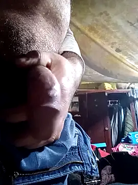 Cogelonregio online show from February 2026 06:12:02 PM