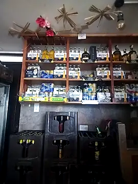 Snapshot of catalella16 chatting on March 2026 03:06:01 PM catalella16 online show from March 2026 03:06:01 PM