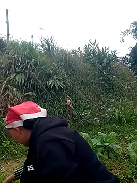 Snapshot of nui-show chatting on November 2025 06:01:01 AM nui-show online show from November 2025 06:01:01 AM