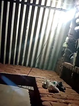 Snapshot of M-MAYA chatting on February 2026 04:47:01 PM M-MAYA online show from February 2026 04:47:01 PM