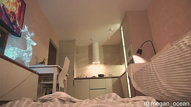 Snapshot of Megan_galactica chatting on November 2025 04:11:02 PM Megan galactica online show from November 2025 04:11:02 PM