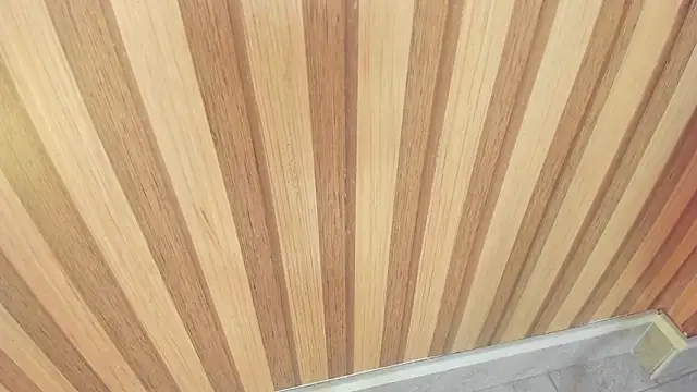 mia  blaze   online show from November 2025 03:06:02 AM