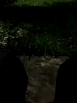 Snapshot of roludao_fun chatting on November 2025 10:54:01 PM roludao fun online show from November 2025 10:54:01 PM