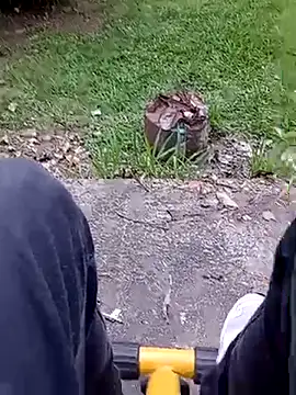 roludao fun online show from February 2026 09:15:02 PM