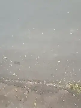 roludao fun online show from February 2026 09:34:01 PM