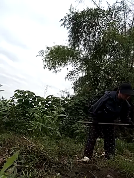 Snapshot of Chmdiemd chatting on November 2025 12:43:01 AM Chmdiemd online show from November 2025 12:43:01 AM