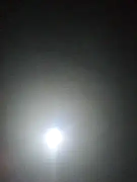 Orlao25cm online show from May 2026 10:58:01 AM