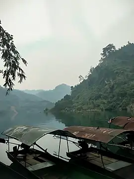 Squirrel-Pear online show from January 2026 02:50:02 AM