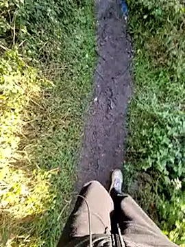 bbyxklaus online show from November 2025 09:43:02 AM