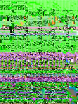 aaaaawhate online show from March 2026 11:36:01 AM