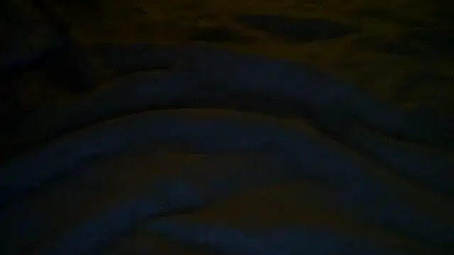 Meyariss online show from February 2026 10:30:01 AM