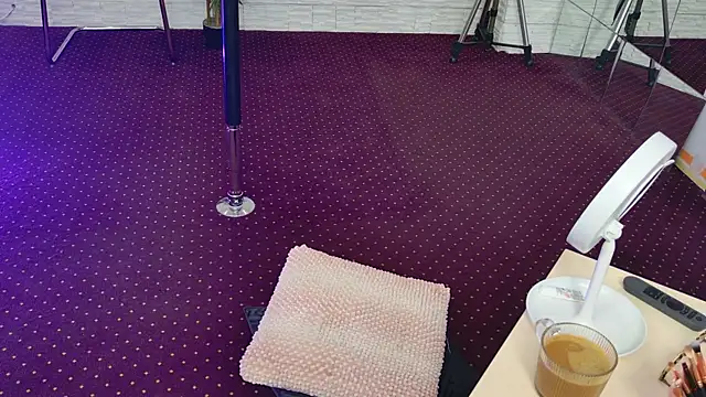 Snapshot of IvorySwan chatting on November 2025 05:28:02 AM IvorySwan online show from November 2025 05:28:02 AM