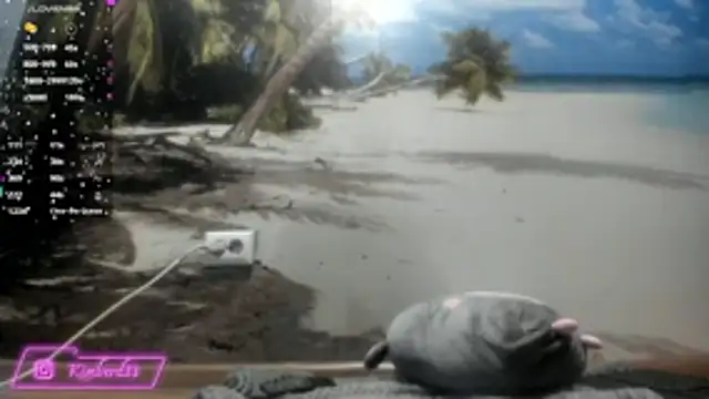 Snapshot of kimberd33 chatting on February 2026 03:11:02 PM kimberd33 online show from February 2026 03:11:02 PM