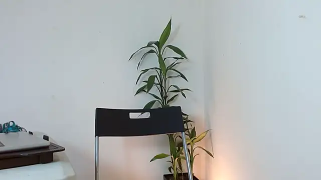 Dulce765b online show from March 2026 01:37:01 PM