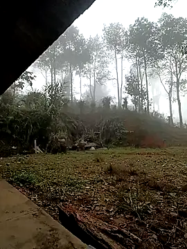 Snapshot of sowbibi chatting on December 2025 02:16:02 AM sowbibi online show from December 2025 02:16:02 AM