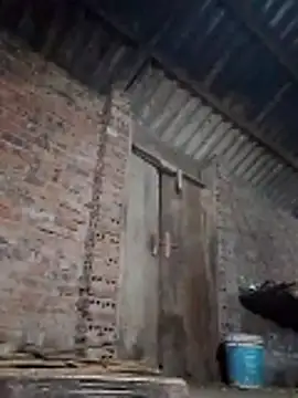  LAN  online show from March 2026 09:53:02 PM